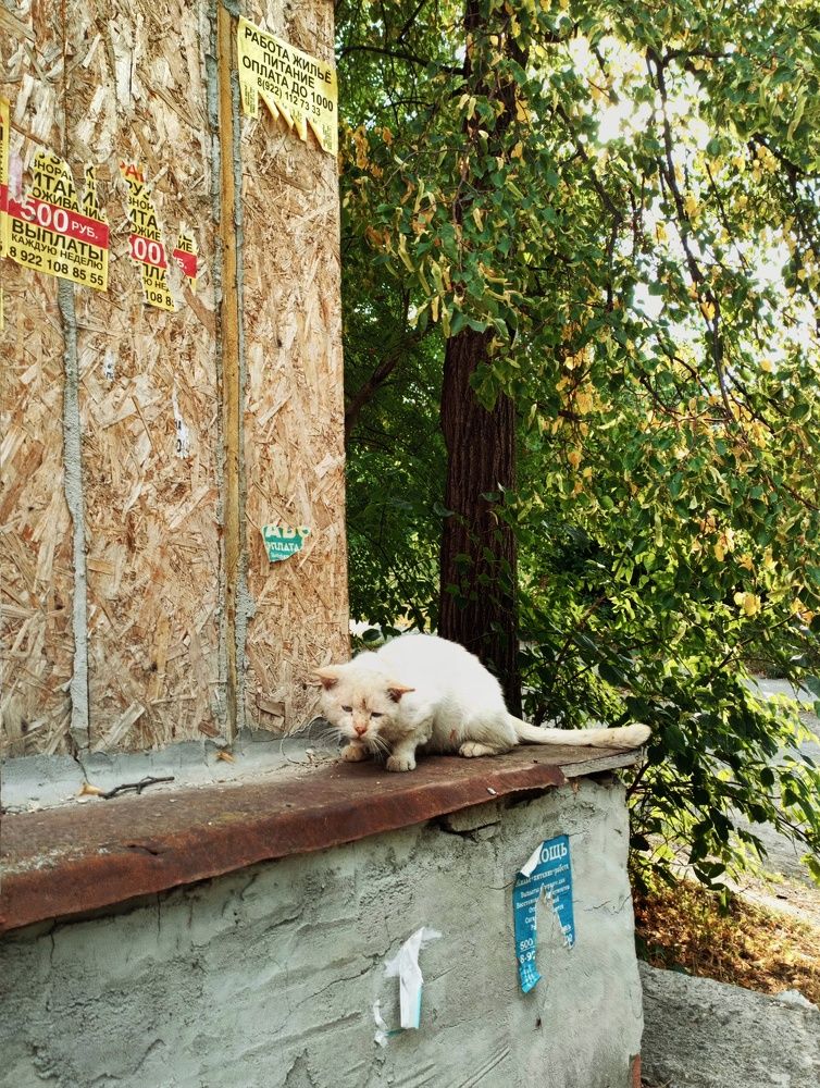 Photograph by Мария