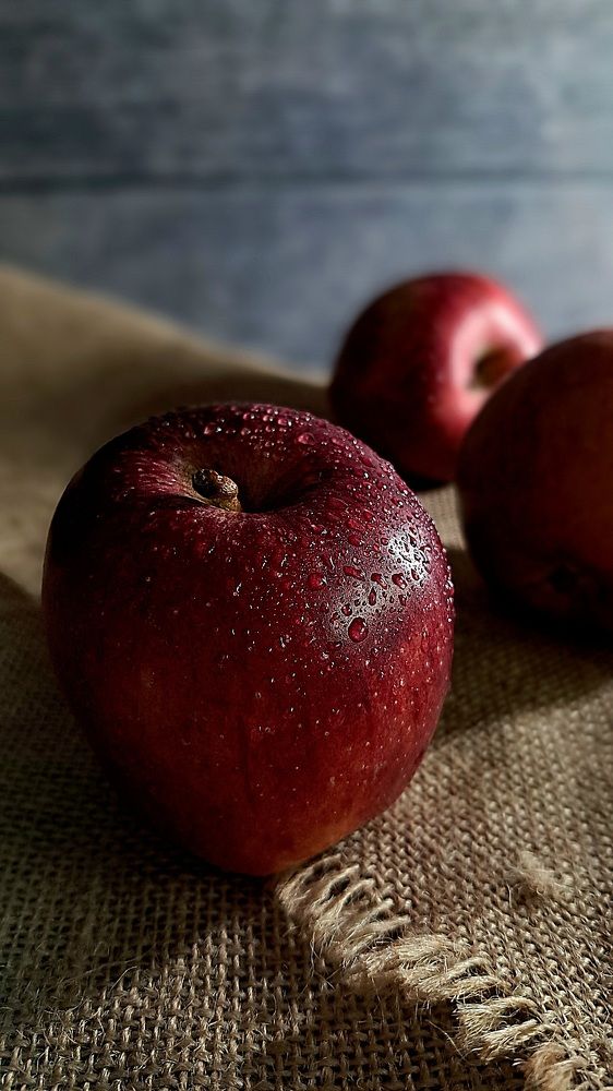 Photograph by Александра Коржева