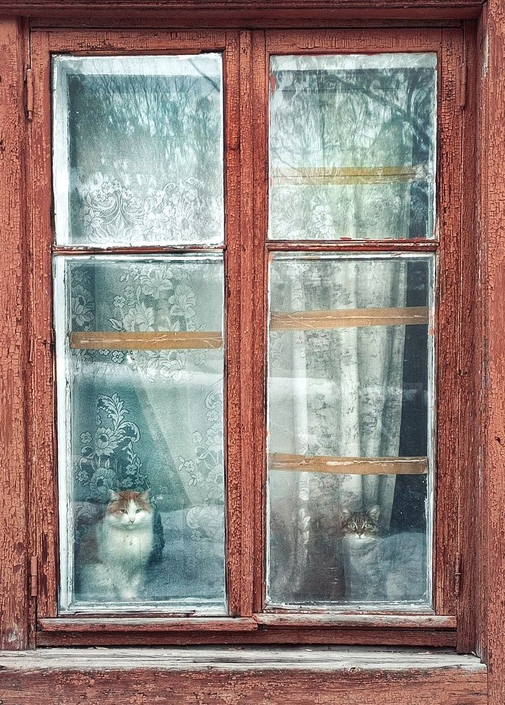 Photograph by Мария