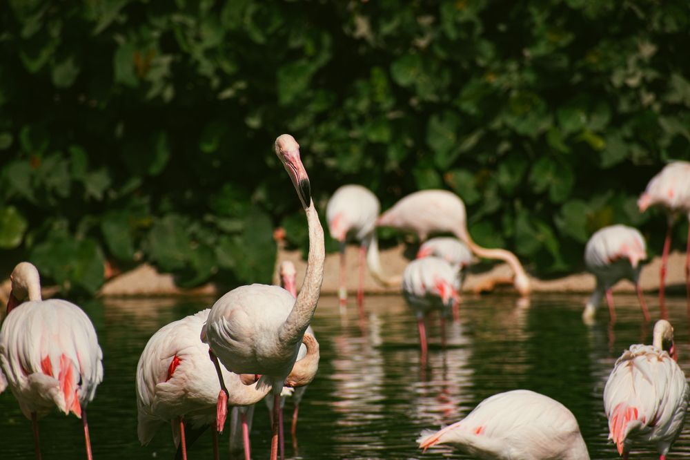 Фотография автора Sakthi Ganesh