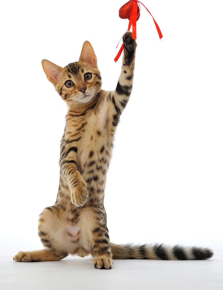 Photograph by Виктор Лагашёв