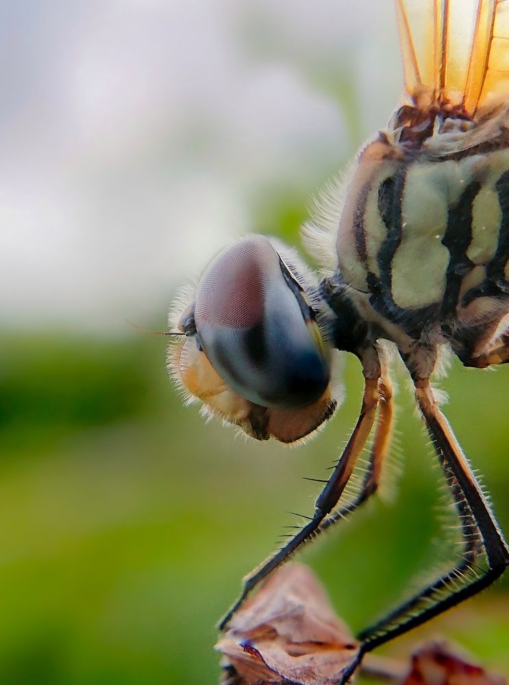 Photograph by Kasun Wickramasinghe