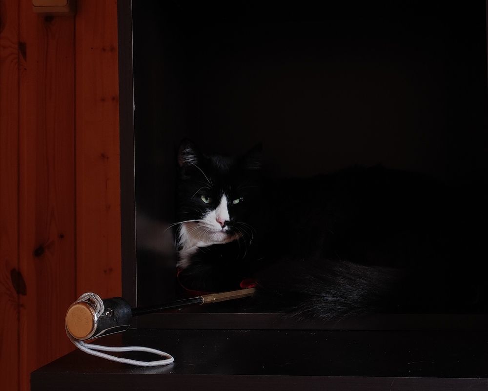 Photograph by Полина Белокопытова