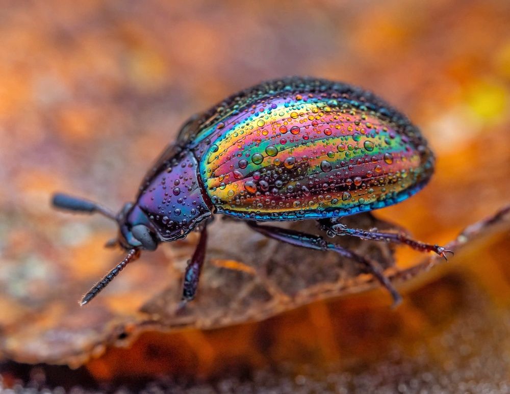 Photograph by Loo kok hua Loo