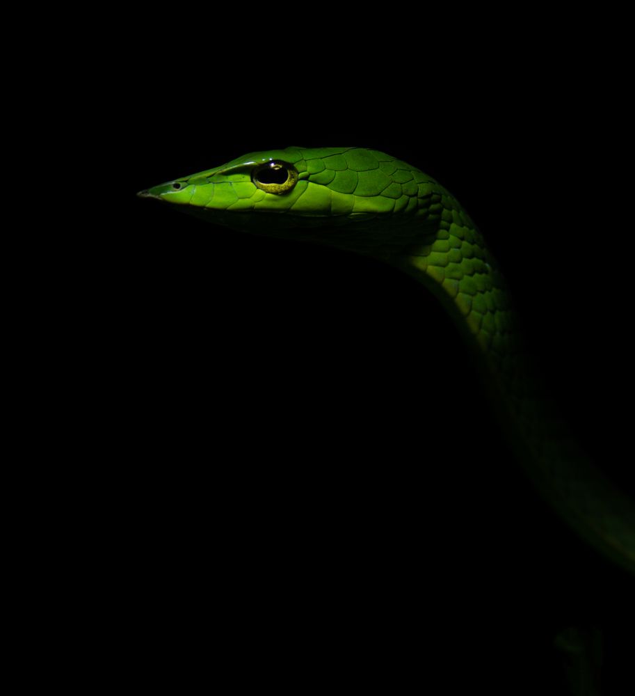 Photograph by Vishal Shah