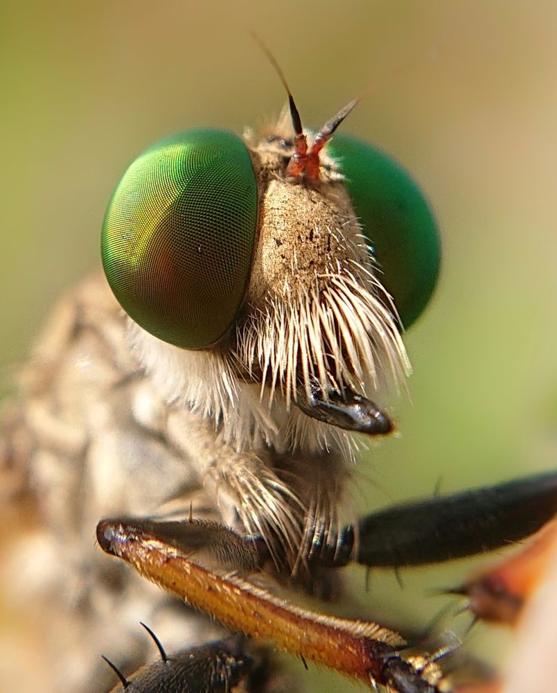Photograph by Kasun Wickramasinghe