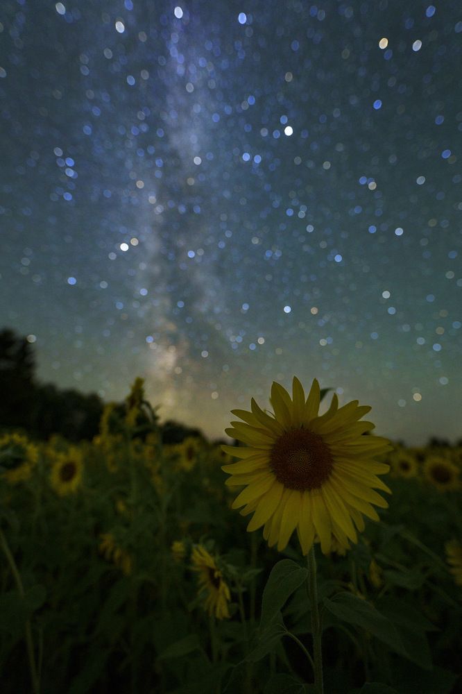 Photograph by Herve Rannu