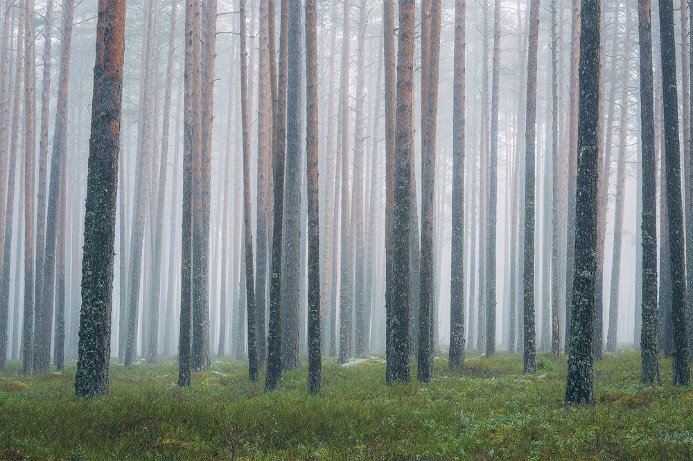 Photograph by Herve Rannu