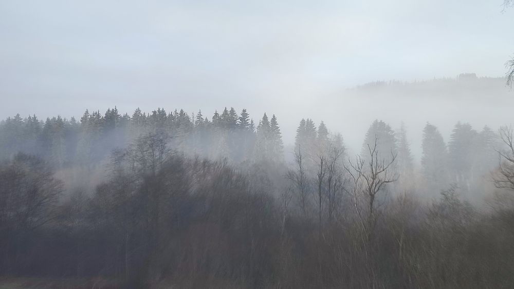 Photograph by Олег Марков