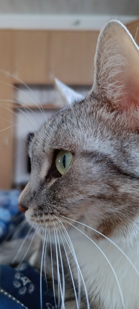 Photograph by Даниил Пузаков