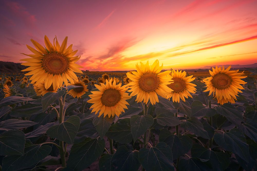 Photograph by Eduardo Garrobo