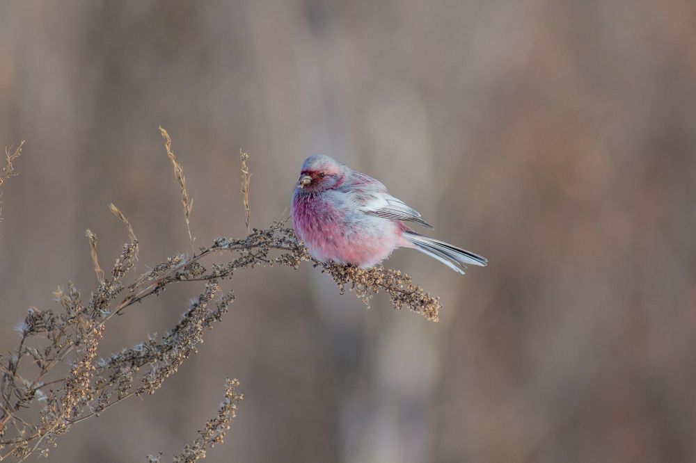 Photograph by Александр Канцур