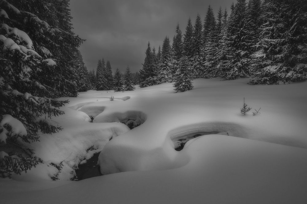 Фотография автора Mariyana Atanasova - Lucero