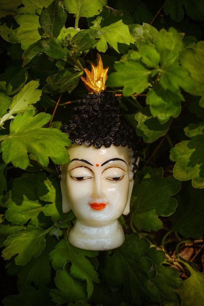 Фотография автора Karukola Puneeth