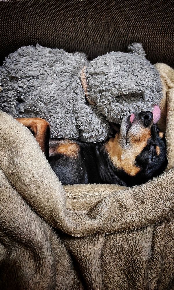 Photograph by Наталья Рау