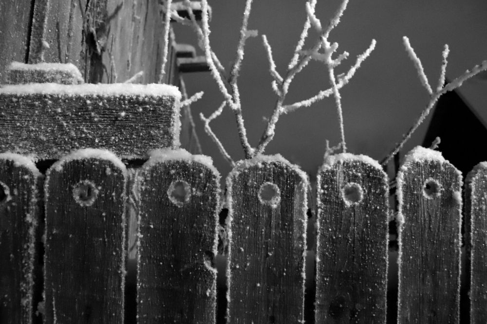 Photograph by Нина Чугунова