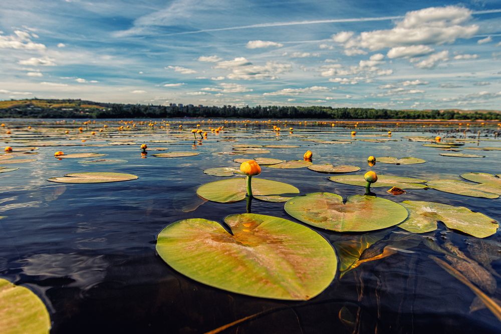 Фотография автора Андрей Лепилин