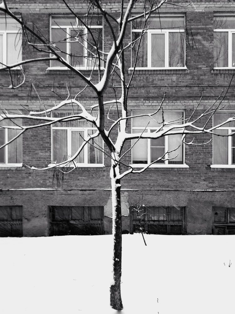 Photograph by Анна Матецкая