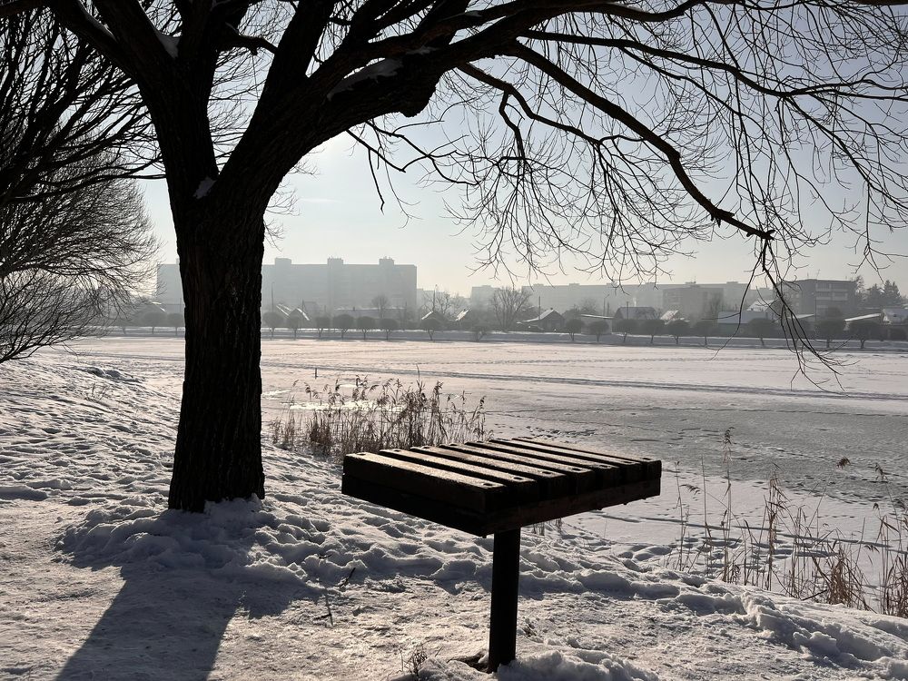 Фотография автора Ирина Мосько