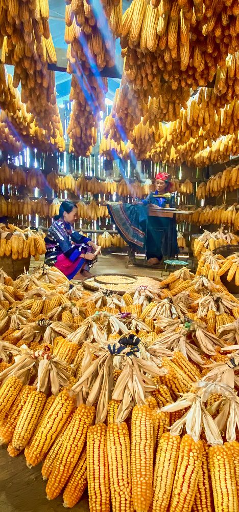 Photograph by Cong Pham Chi