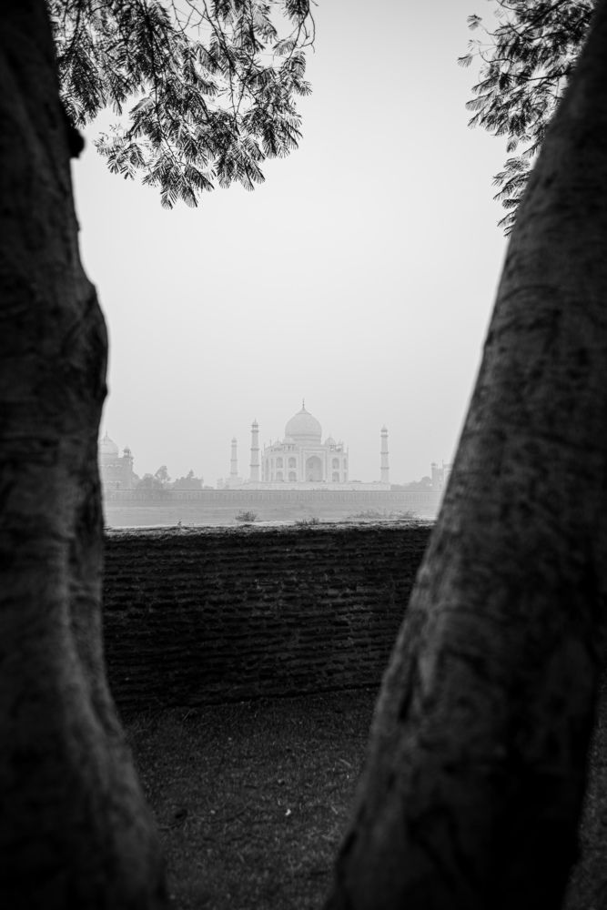 Photograph by Ankit Bhatta