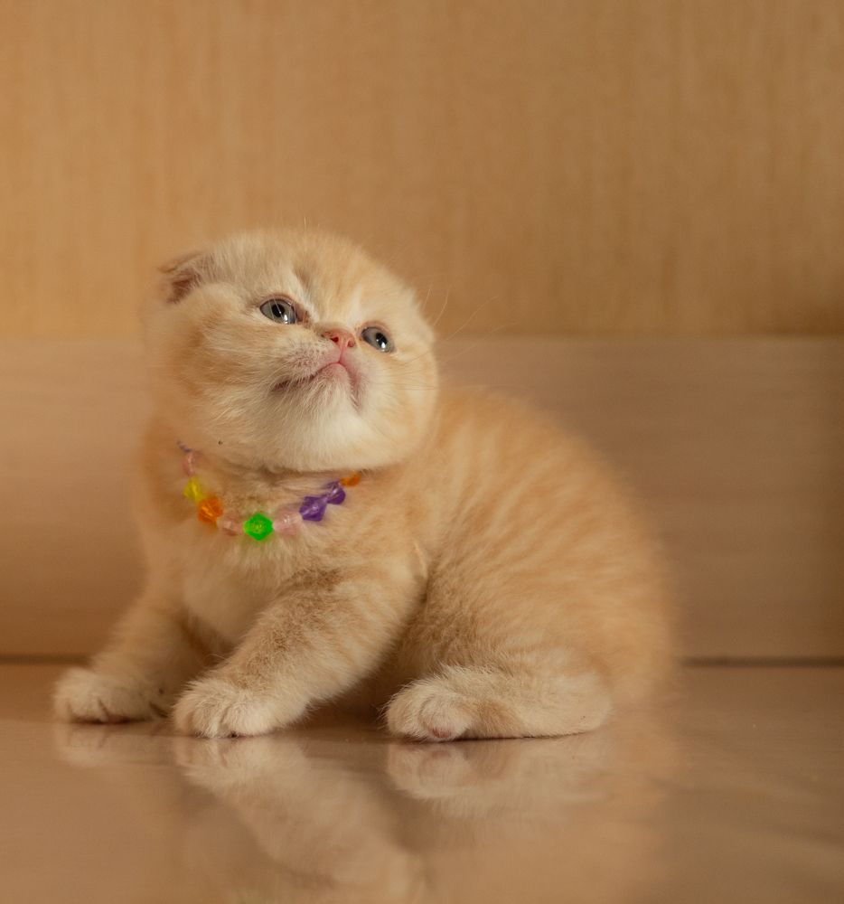 Photograph by Слава Юдин