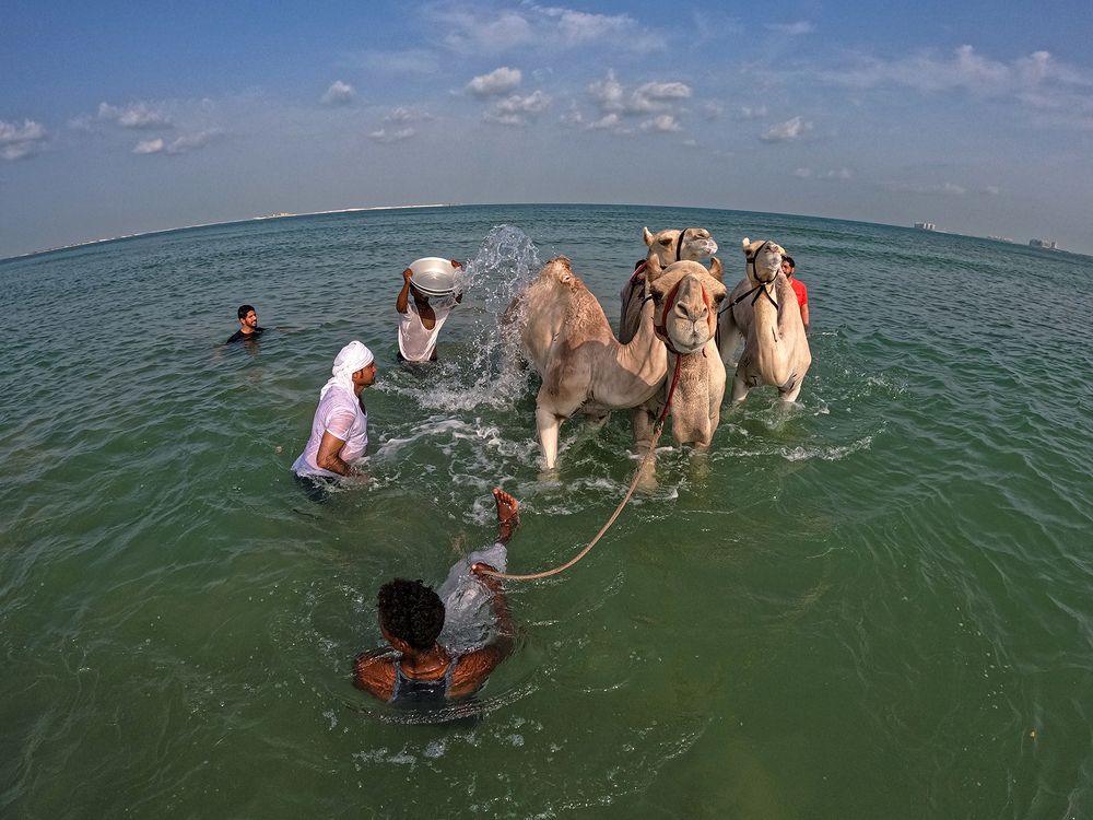 Photograph by Shyjith Onden Cheriyath