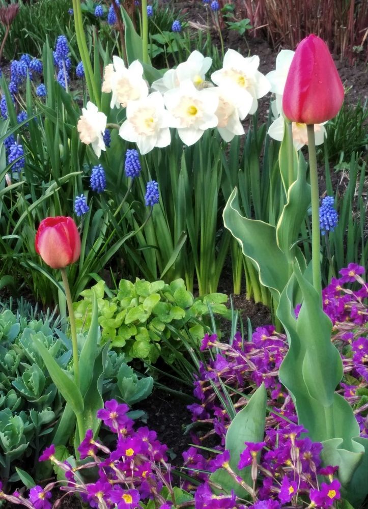 Photograph by Анна Виноградова