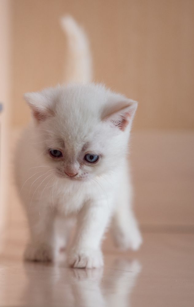 Photograph by Слава Юдин