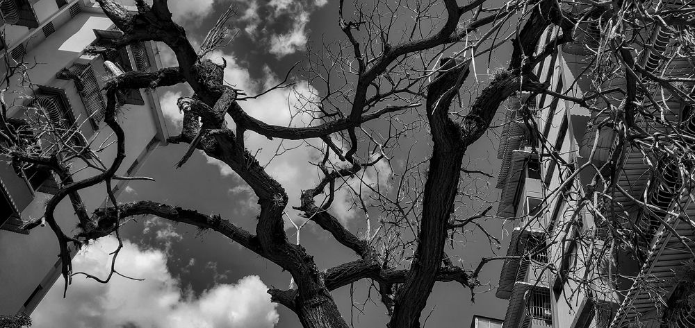 Photograph by Nicola Rocco