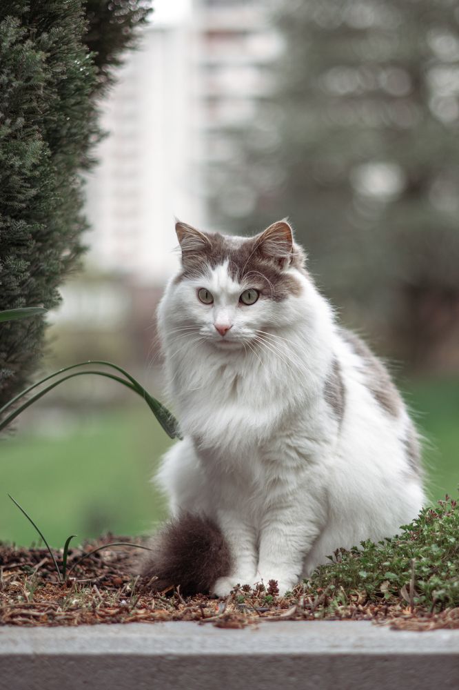 Photograph by Kate Blum