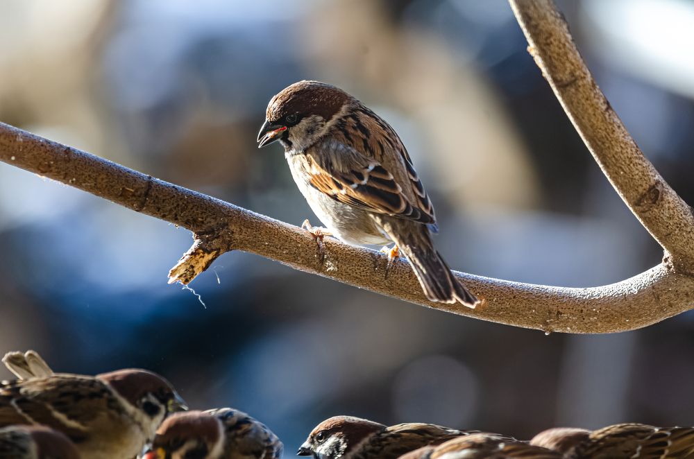 Photograph by Yuri Bohatyrov