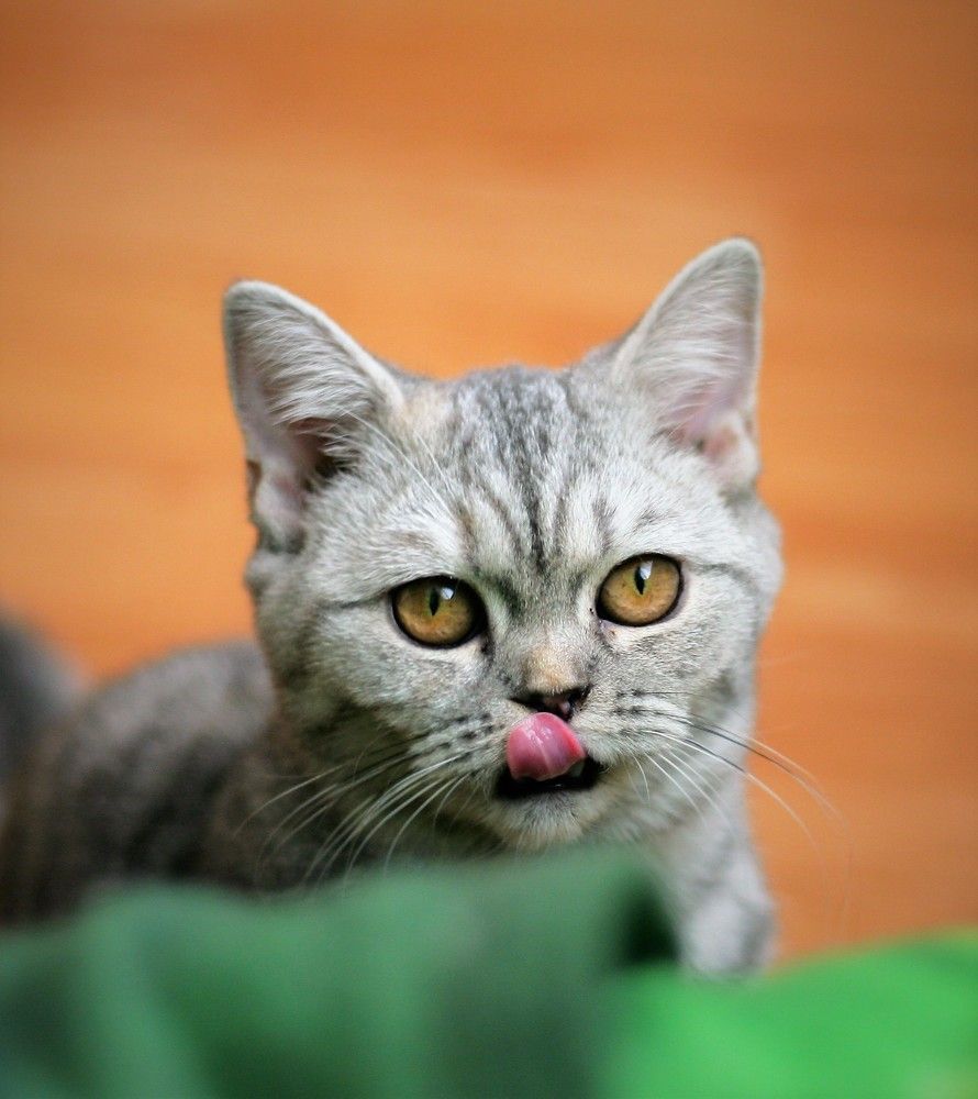 Photograph by Слава Юдин