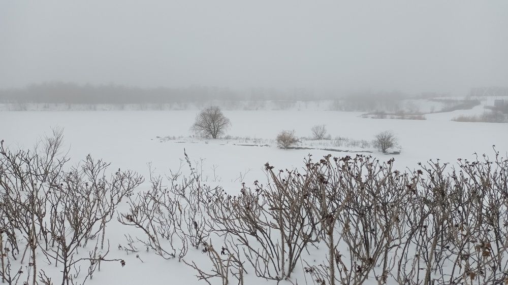 Photograph by Инна Демкив