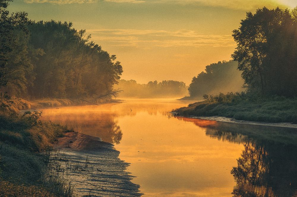 Фотография автора Андрей Лепилин