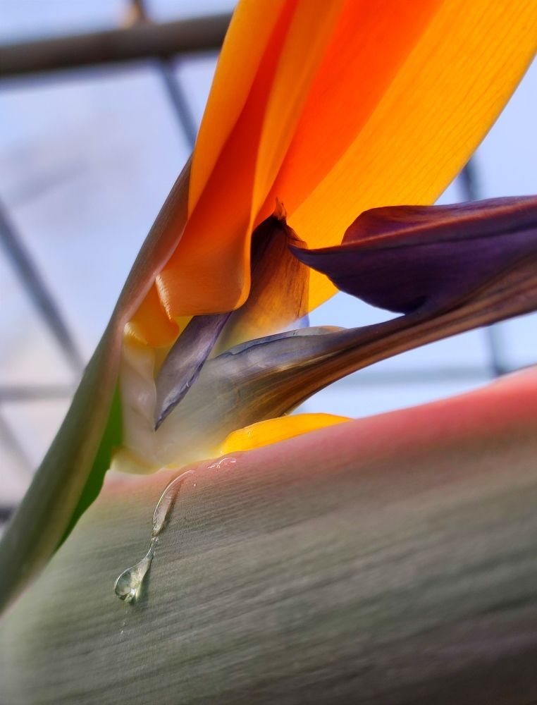 Photograph by Надежда Батракова