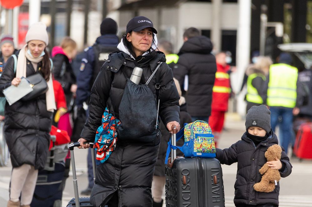 Photograph by  Camelia