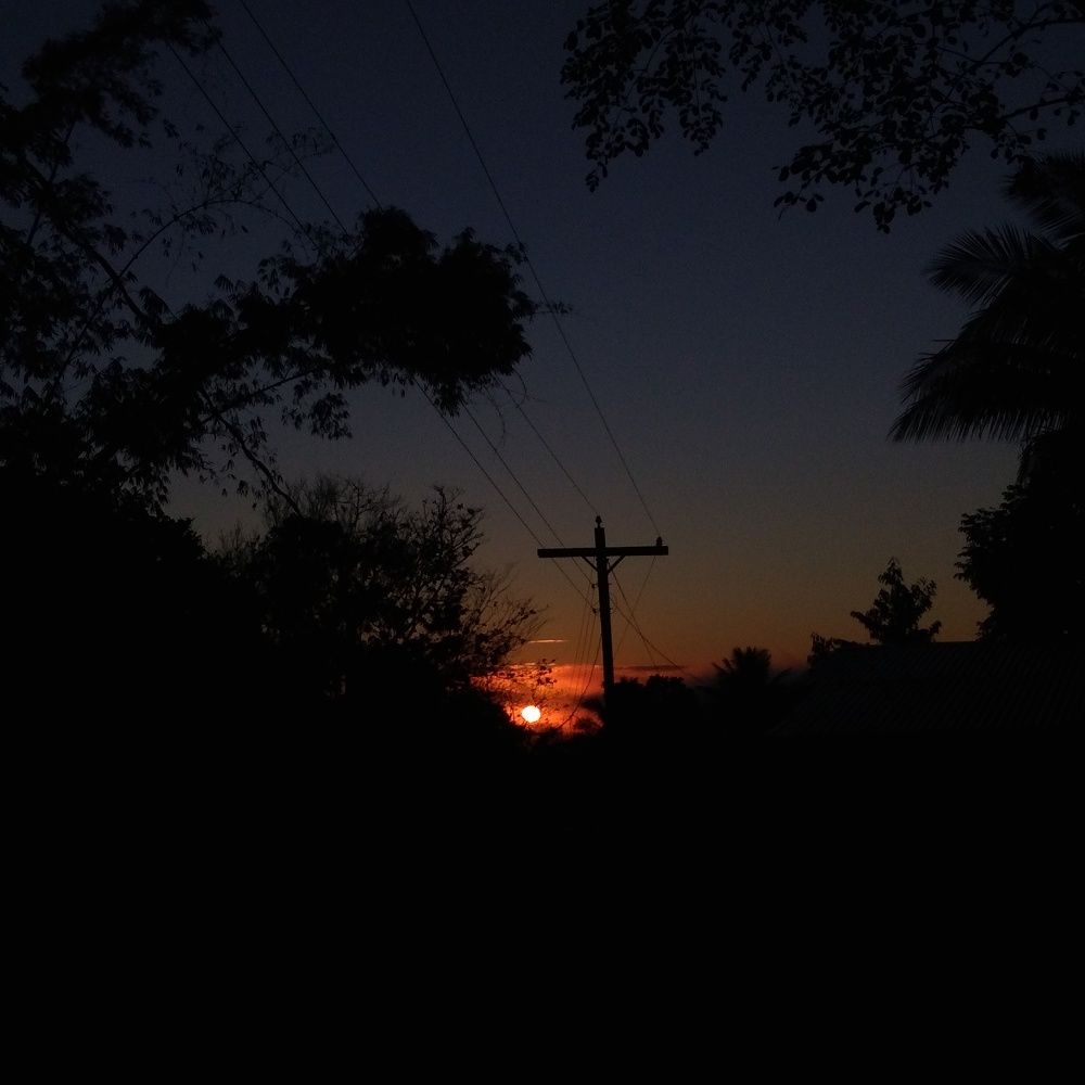 Photo #8924387