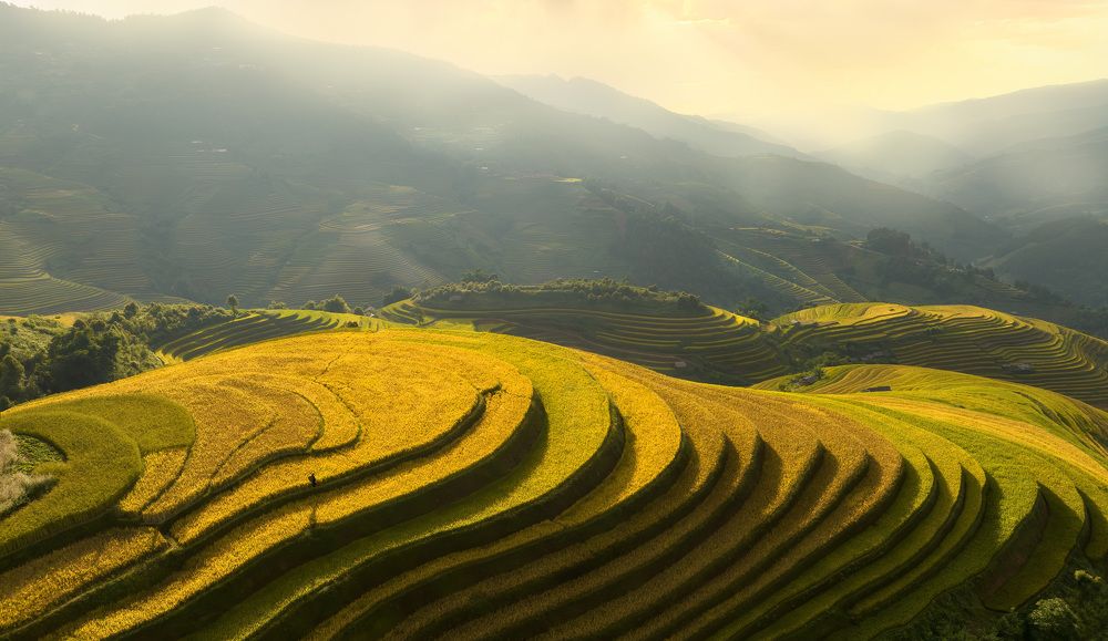 Photograph by Cong Pham Chi