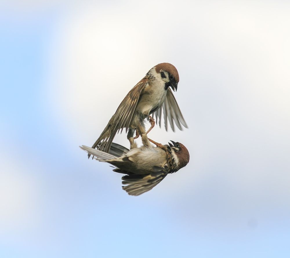 Photograph by Наталья