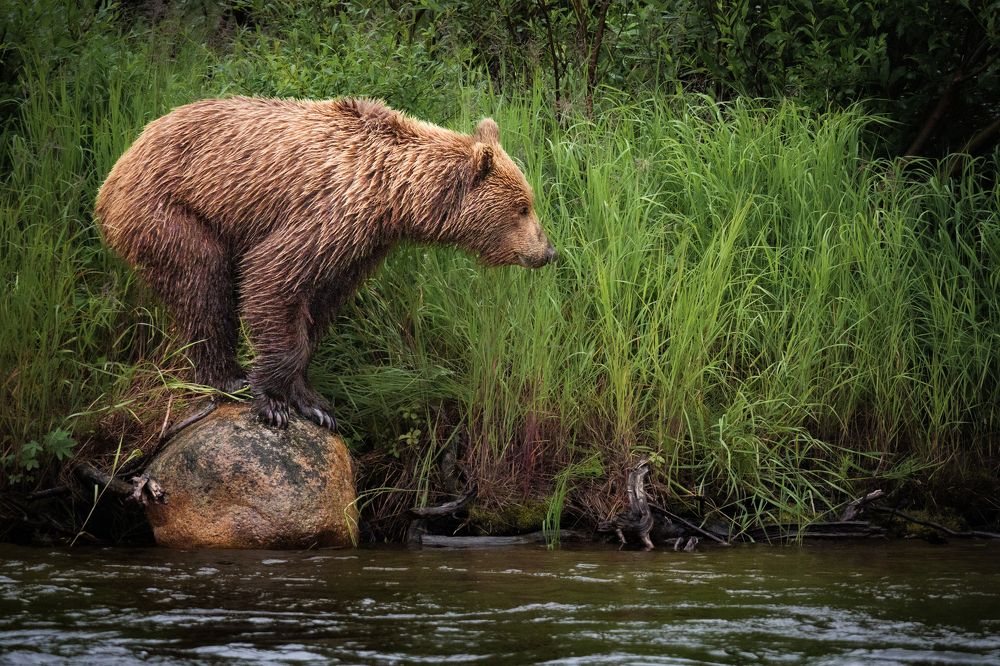 Фотография автора Cheryl B. Crumm