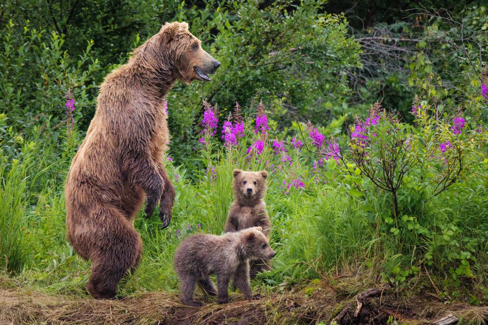 Фотография автора Cheryl B. Crumm