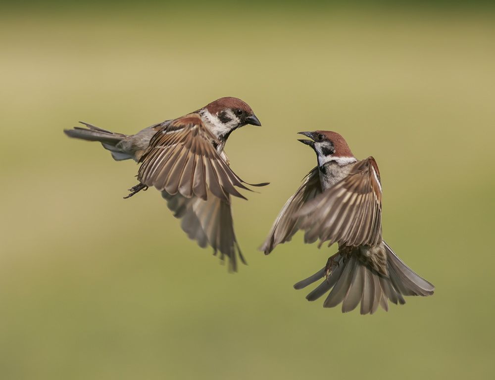 Photograph by Наталья