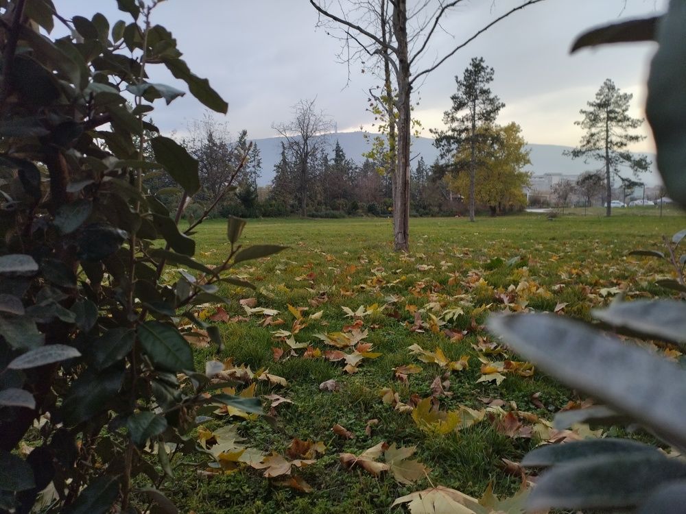 Photograph by Bojan Nikolovski