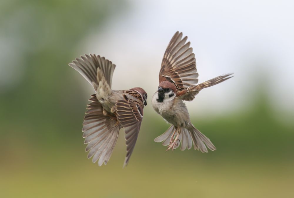 Photograph by Наталья