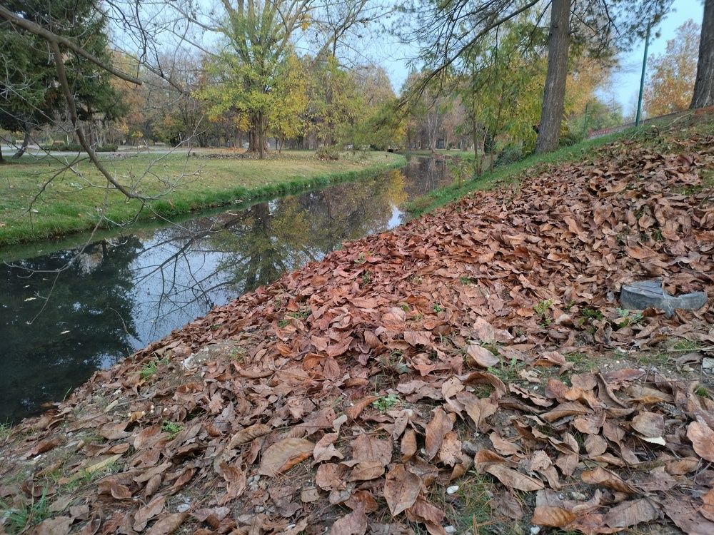 Photograph by Bojan Nikolovski