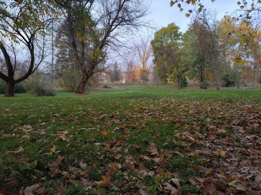 Photograph by Bojan Nikolovski