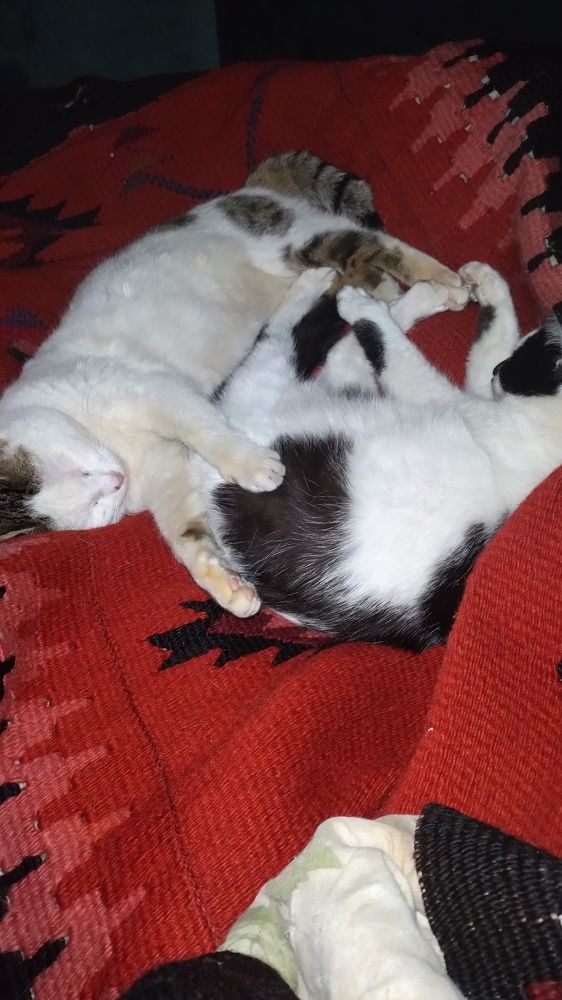 Photograph by Bojan Nikolovski