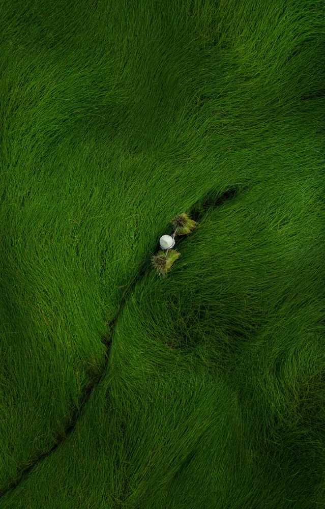 Photograph by Cong Pham Chi