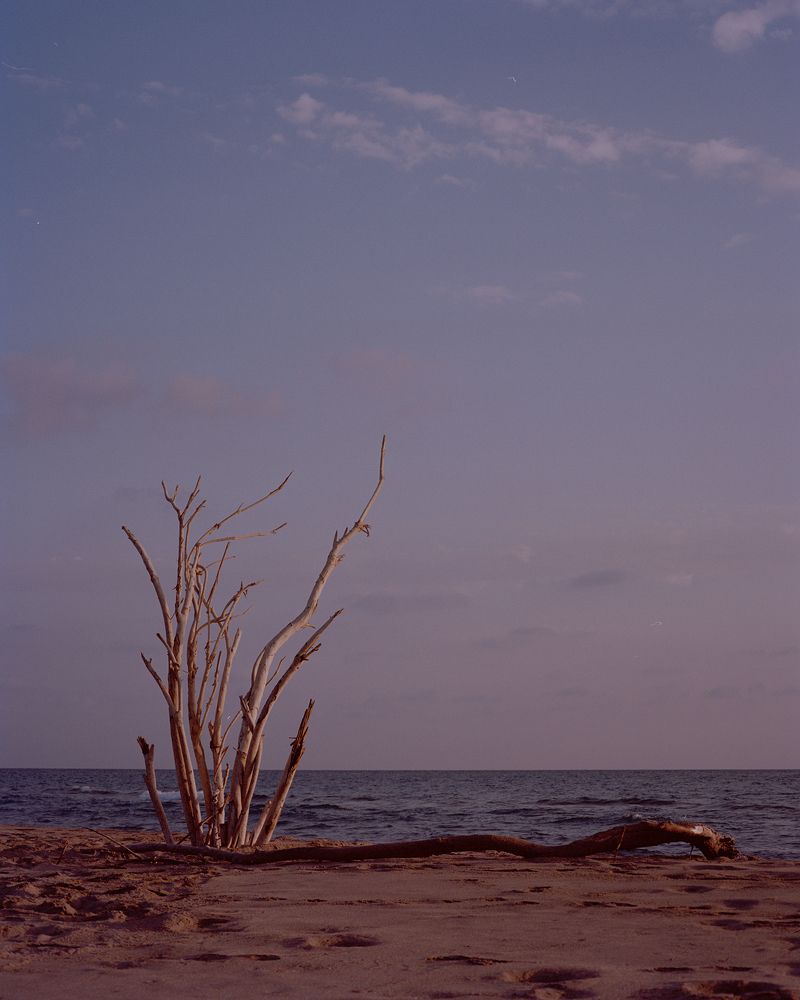 Photograph by Evgeniya Parfenova